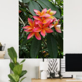 Hawaiianische Plumeria Poster (Heimbüro)