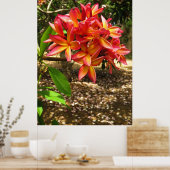 Hawaiianische Plumeria Poster (Küche)