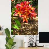 Hawaiianische Plumeria Poster (Heimbüro)