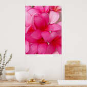 Hawaiianische Plumeria Poster (Küche)