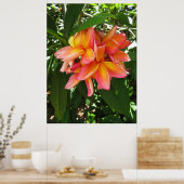 Hawaiianische Plumeria Poster (Küche)