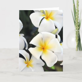 Hawaiianische Plumeria Tropical Greeting Card Karte