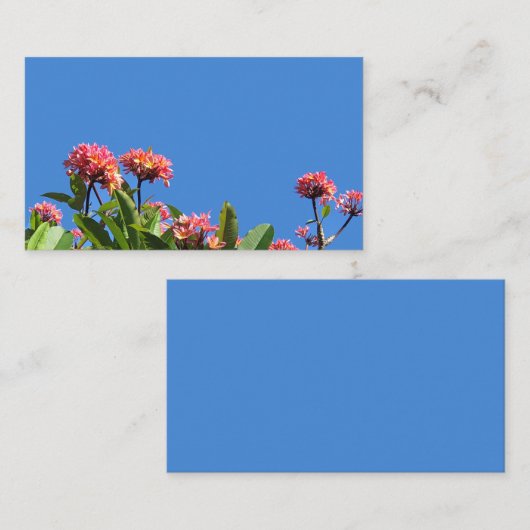 Hawaiianische Plumeria Visitenkarte (Vorne/Hinten)