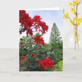 Hawaiianische Poinsettien Karte (Gelbe Blume)