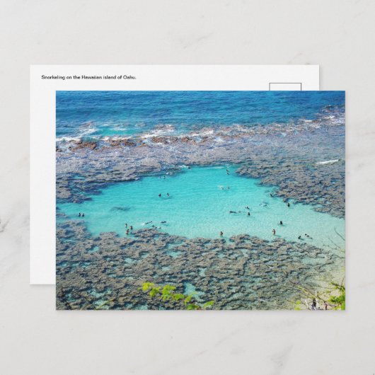 Hawaiianische Postkarte (Vorne/Hinten)