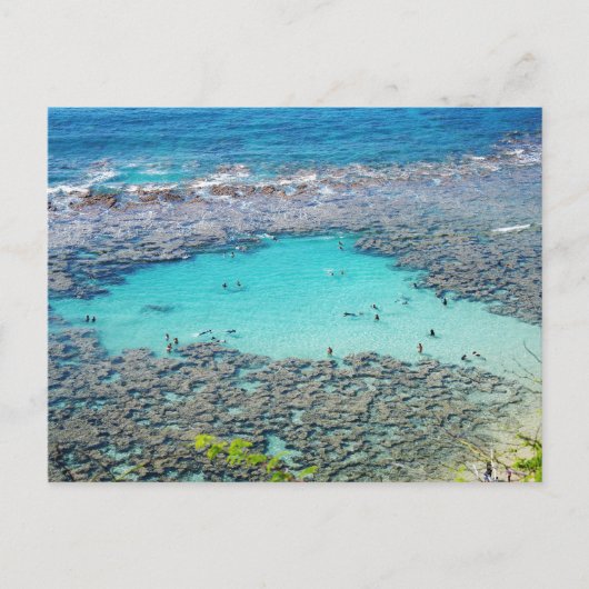 Hawaiianische Postkarte (Vorderseite)