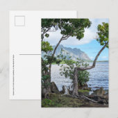 Hawaiianische Postkarte (Vorne/Hinten)