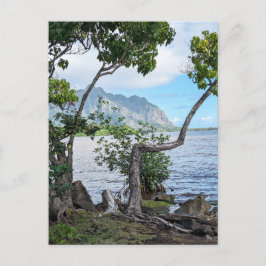 Hawaiianische Postkarte