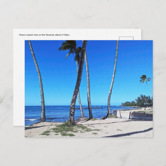 Hawaiianische Postkarte (Vorne/Hinten)