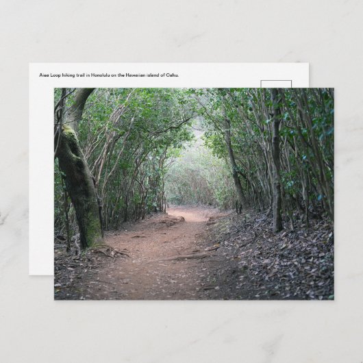 Hawaiianische Postkarte (Vorne/Hinten)