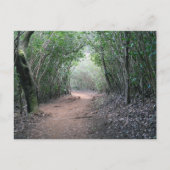 Hawaiianische Postkarte (Vorderseite)