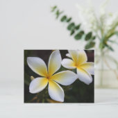 Hawaiianische Postkarte (Stehend Vorderseite)