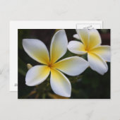 Hawaiianische Postkarte (Vorne/Hinten)