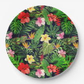 Hawaiianische Printwerbung Pappteller (Vorderseite)