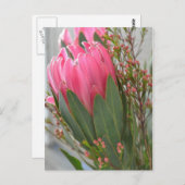 Hawaiianische Protea-Blume Postkarte (Vorne/Hinten)