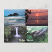 Hawaiianische Sammlung Postkarte (Vorderseite)