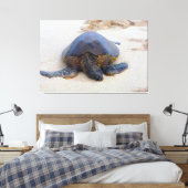 Hawaiianische Schildkröte am Strand Leinwanddruck (Insitu (Schlafzimmer))