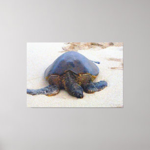Hawaiianische Schildkröte am Strand Leinwanddruck