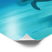 Hawaiianische Schildkröte Fotodruck (Ecke)