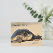 Hawaiianische Schildkröte Postkarte (Stehend Vorderseite)