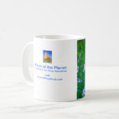 Hawaiianische Schildkröte Tasse Schönheit (Vorderseite Links)