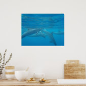 Hawaiianische Spinner-Delphine unter Wasser-Poster Poster (Küche)
