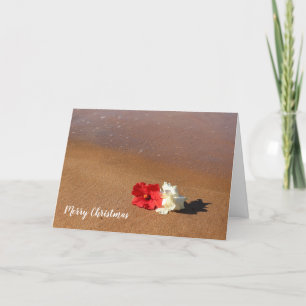 Hawaiianische Strand-Hibiskus-Weihnachtskarte Karte