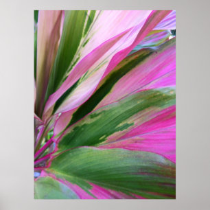 Hawaiianische Ti-Pflanze Poster