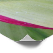 Hawaiianische Ti-Pflanze Poster (Ecke)
