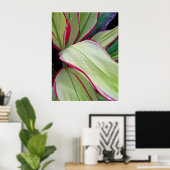 Hawaiianische Ti-Pflanze Poster (Heimbüro)