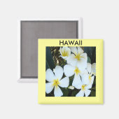 Hawaiianische tropische Blume Magnet (Vorderseite/Rückseite)