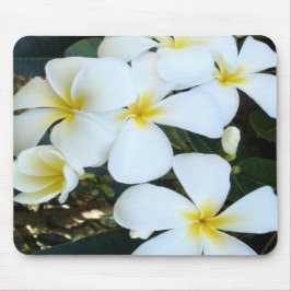 Hawaiianische tropische Blume Mousepad