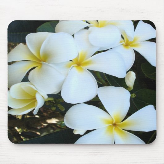 Hawaiianische tropische Blume Mousepad (Vorne)