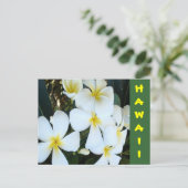 Hawaiianische tropische Blume Postkarte (Stehend Vorderseite)