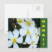 Hawaiianische tropische Blume Postkarte (Vorne/Hinten)