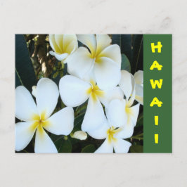Hawaiianische tropische Blume Postkarte