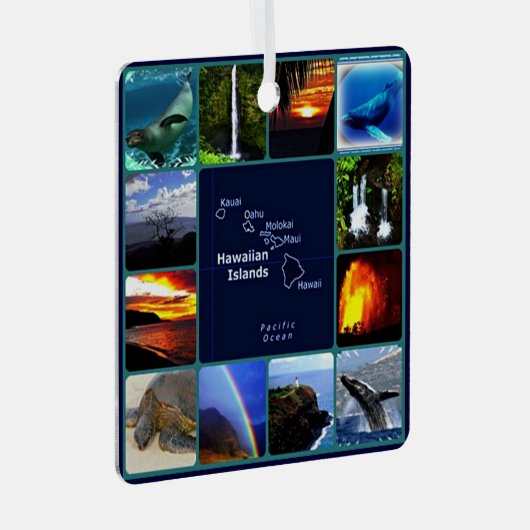 Hawaiianische tropische Regenbohnen und Sonnenunte Ornament Aus Metall (Vorderseite Rechts)