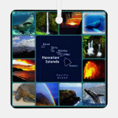 Hawaiianische tropische Regenbohnen und Sonnenunte Ornament Aus Metall (Rückseite)