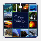 Hawaiianische tropische Regenbohnen und Sonnenunte Ornament Aus Metall (Vorderseite)