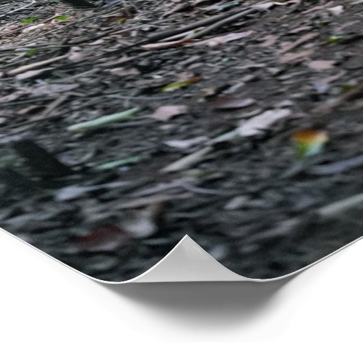 Hawaiianische Wanderpfade Poster (Ecke)