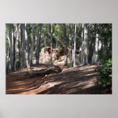 Hawaiianische Wanderpfade Poster (Vorne)