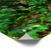 Hawaiianische Wasserfälle Poster (Ecke)