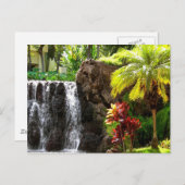 Hawaiianische Wasserfälle Postkarte (Vorne/Hinten)