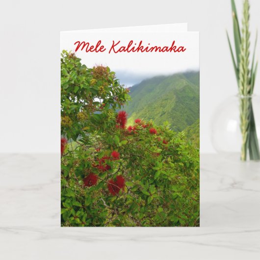 Hawaiianische Weihnachten (Vorderseite)