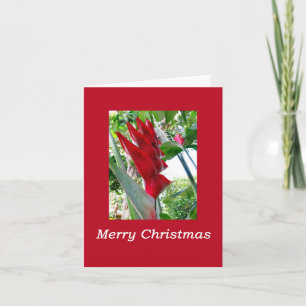 Hawaiianische Weihnachten Karte