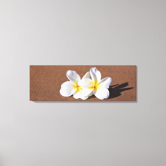 Hawaiianische weiße Plumeria am Strand Canvas Prin Leinwanddruck (Vorderseite)
