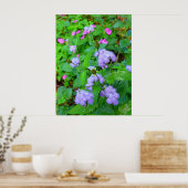 Hawaiianische Wilde Blume Poster (Küche)