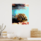 Hawaiianischer Fisch Poster (Küche)