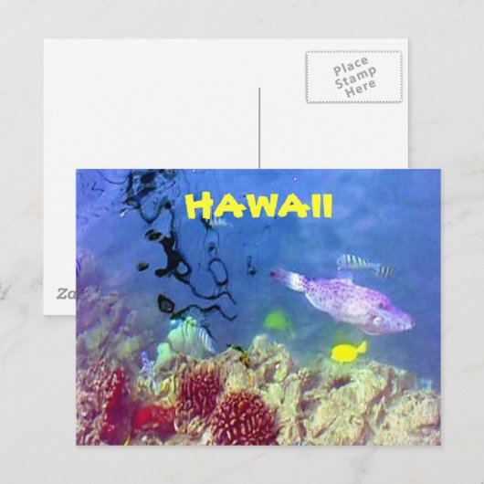 Hawaiianischer Fisch Postkarte (Vorne/Hinten)