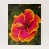 Hawaiianischer Fuchsia und Orange-Hibiskus aus Kau Puzzle (Vertikal)